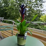 City Appartement Am Olympiapark